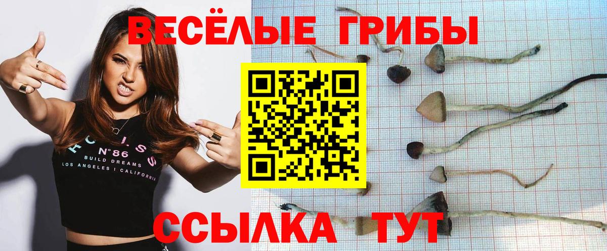 Барнаул  Псилоцибиновые грибы ЛСД  Галлюциногенные грибы GOLDEN TEACHER  Вход с VPN 